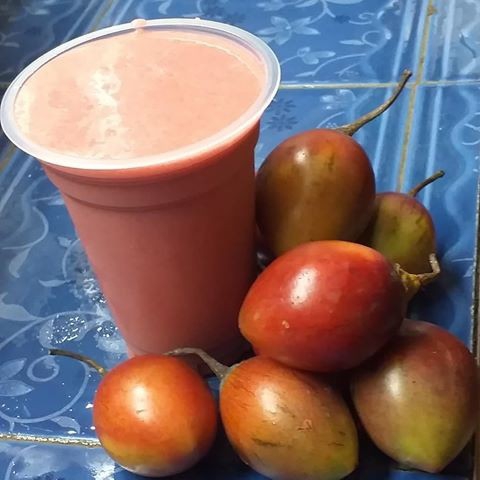 Jus Terong Belanda