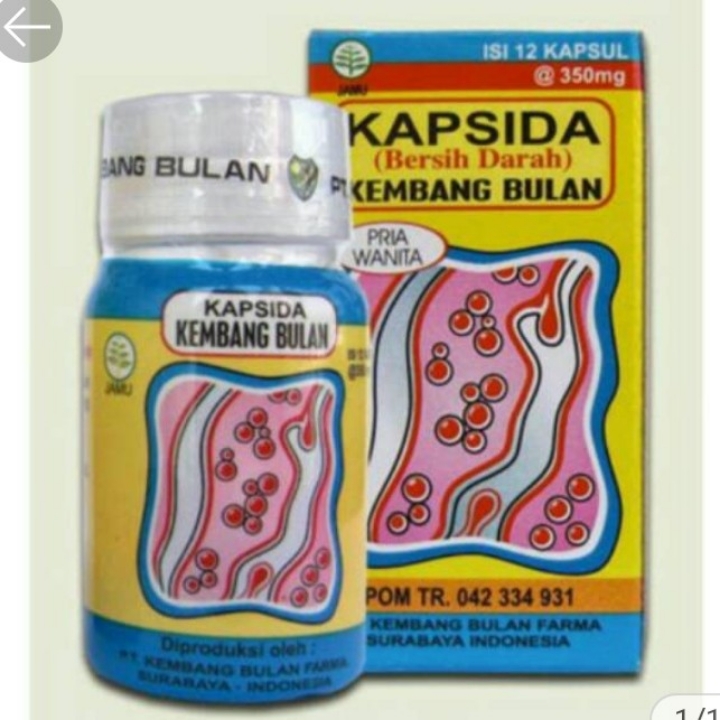 KAPSIDA