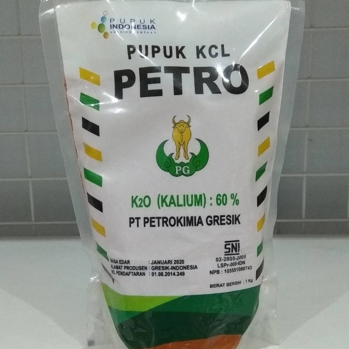 KCL MERAH 1 KG  2