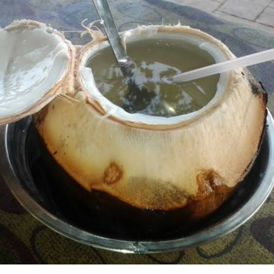 KELAPA BAKAR JAHE MADU