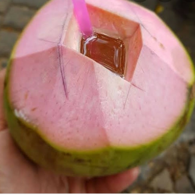 KELAPA IJO CUNGAP MERAH