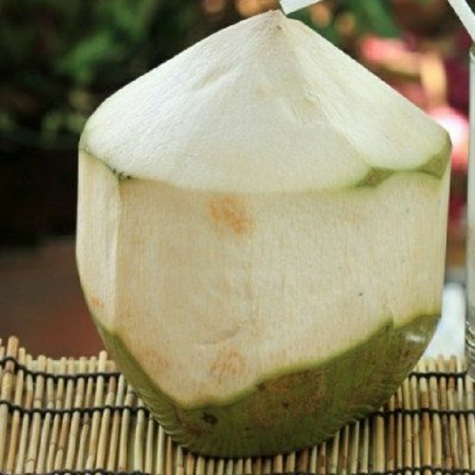 KELAPA MUDA ORIGINAL