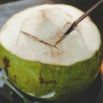 KELAPA MUDA ORIGINAL