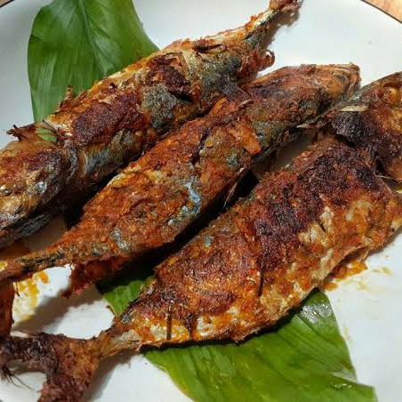 KEMBUNG BAKAR PADANG