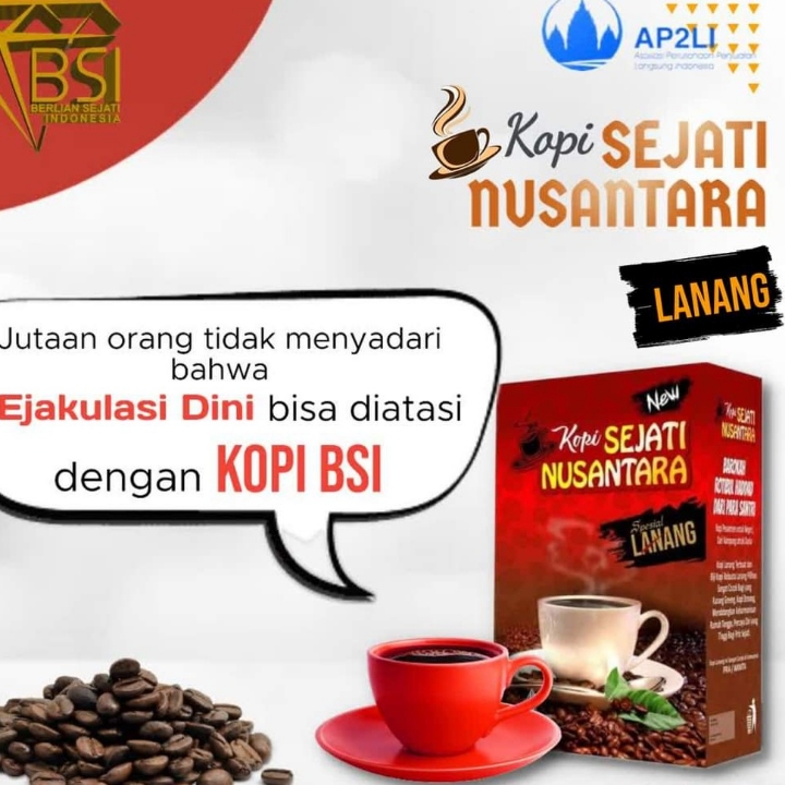 KOPI BSI LANANG 2