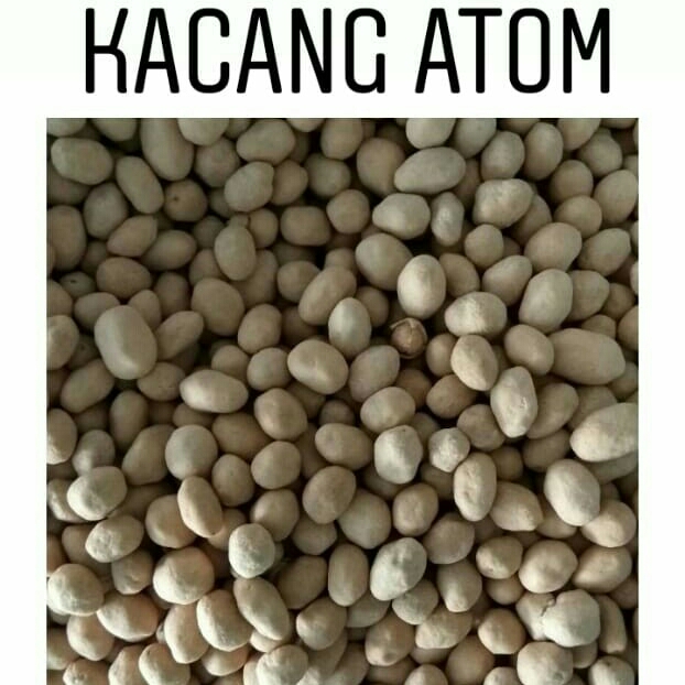 Kacang Atom