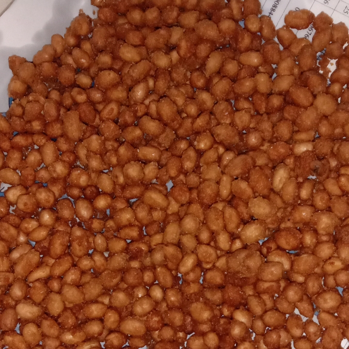 Kacang Disko 2