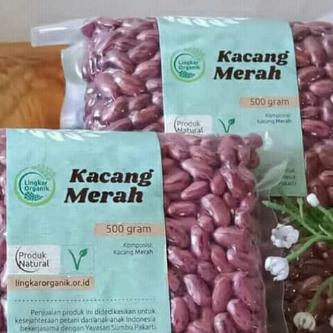 Kacang Merah