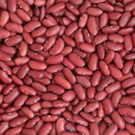 Kacang Merah