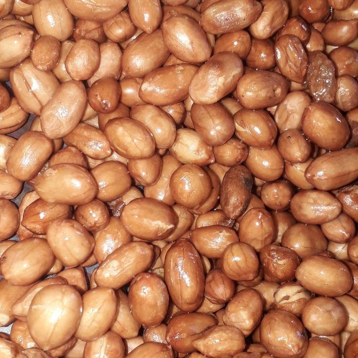 Kacang Tanah