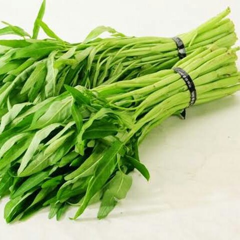 Kangkung