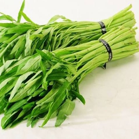 Kangkung