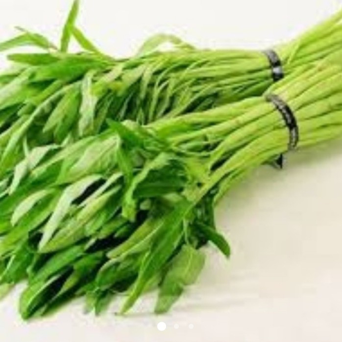 Kangkung