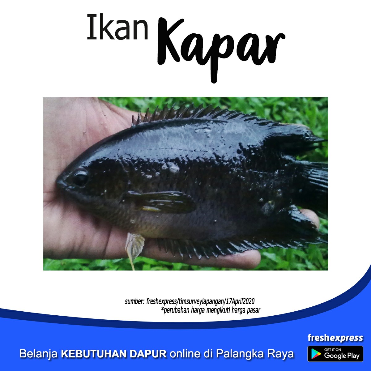 Kapar 1kg