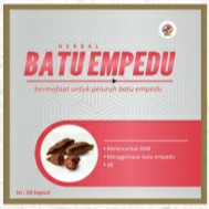 Kapsul Batu Empedu