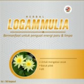 Kapsul Logam Mulia