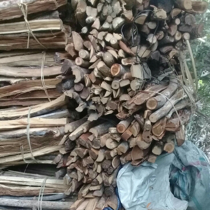 Kayu Bongkokan Akasia