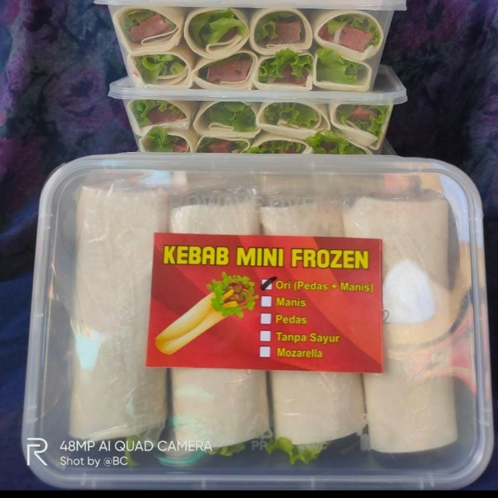 Kebab Frozen