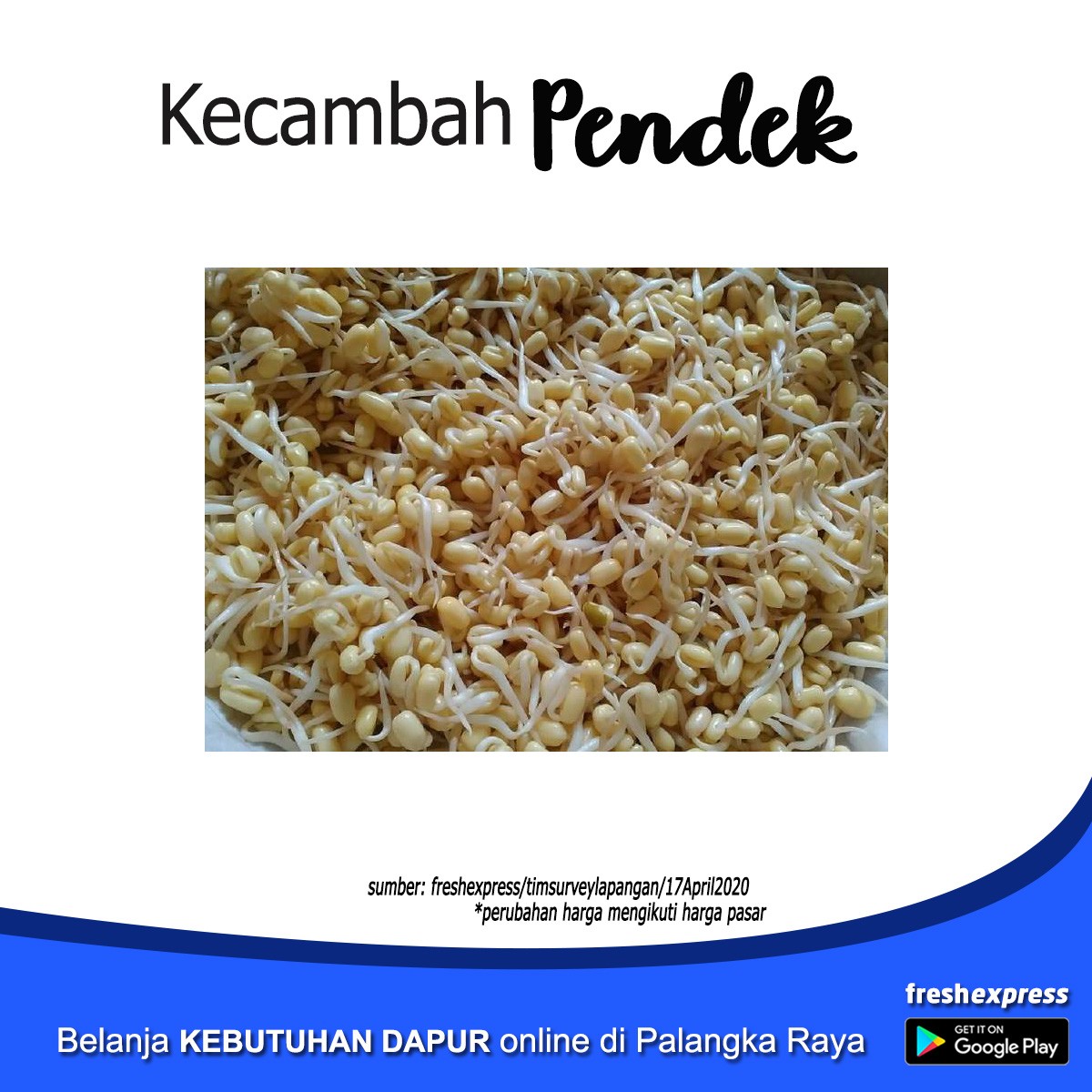 Kecambah Pendek - Seperempat Kg