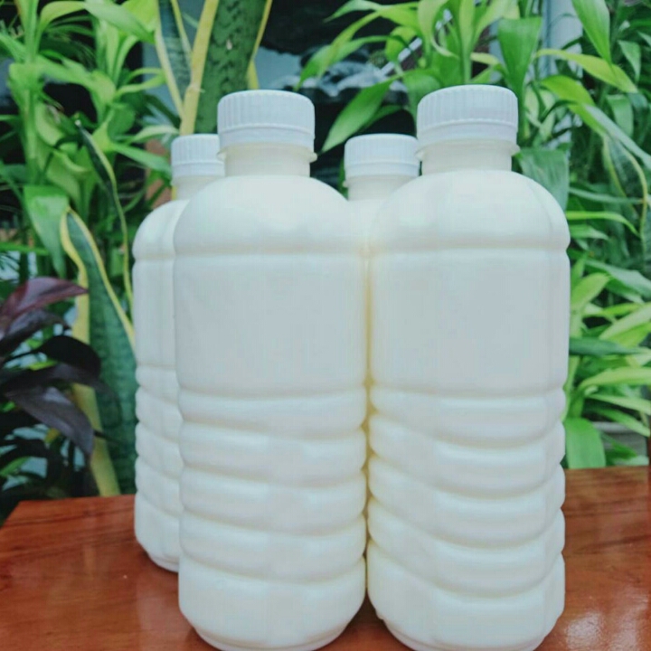 Kefir 2