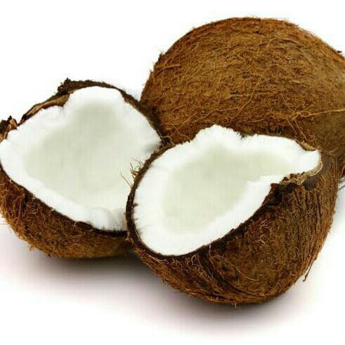 Kelapa