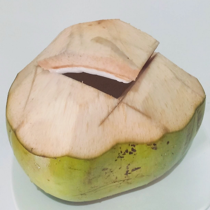 Kelapa Batok Murni