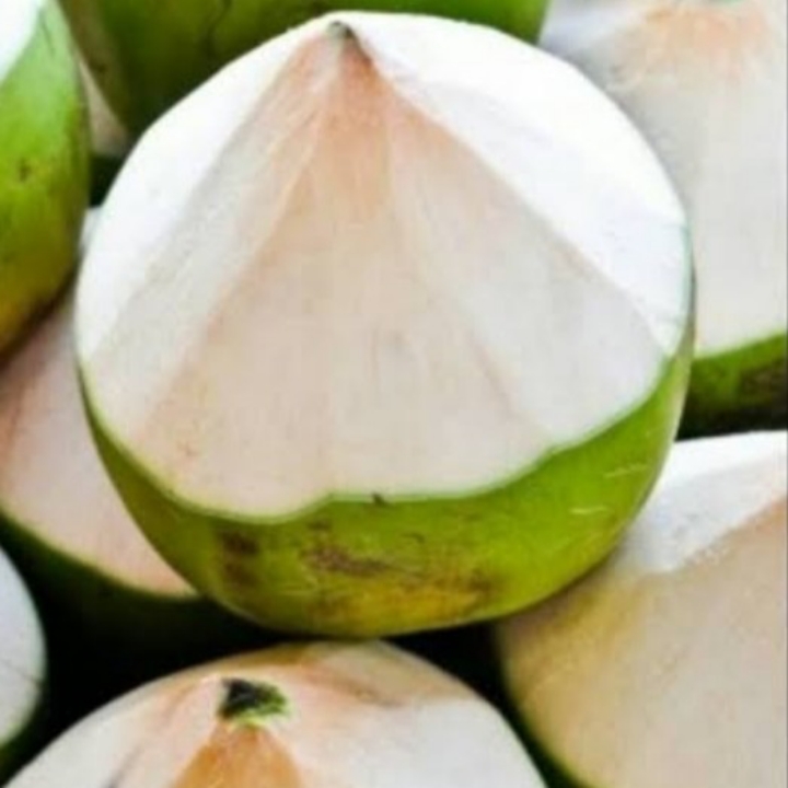 Kelapa Butiran 