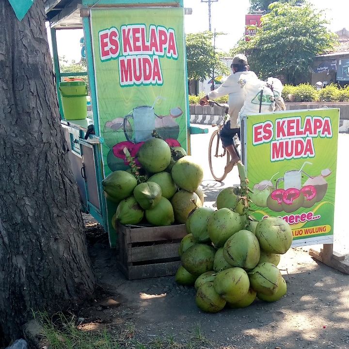 Es Kelapa 3 Varian Rasa