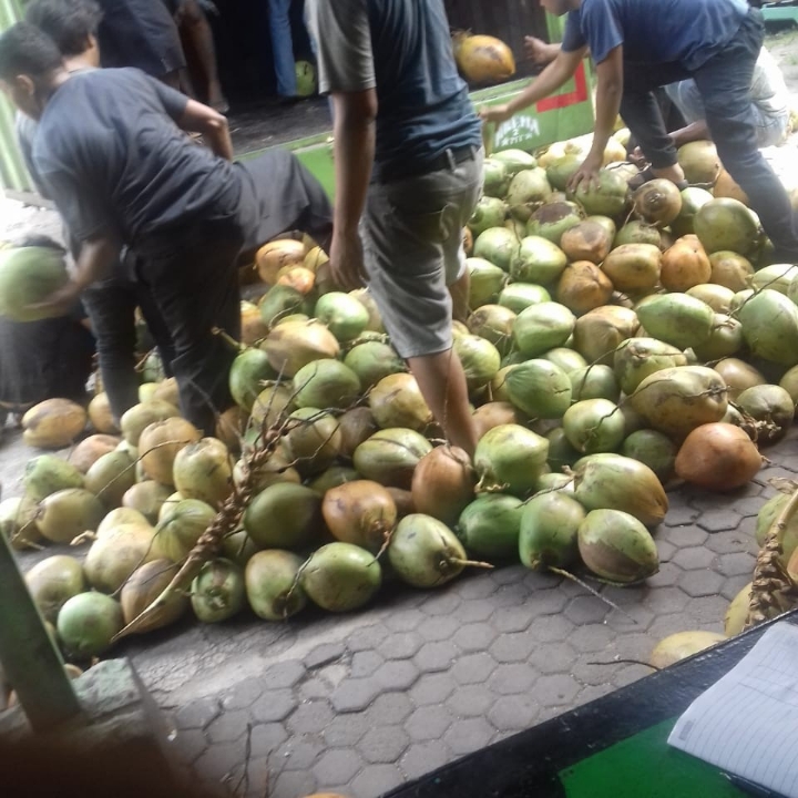 Kelapa Ijo