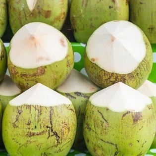 Kelapa Ijo