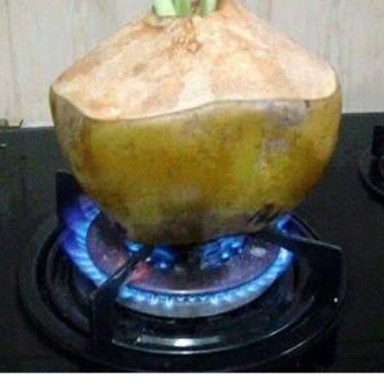 Kelapa Ijo Bakar