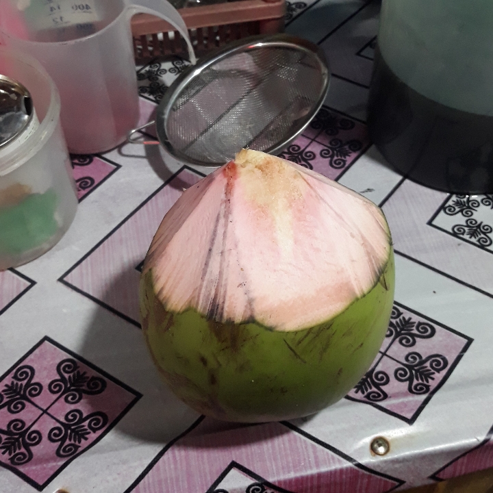 Kelapa Ijo CM cungak Merah 2