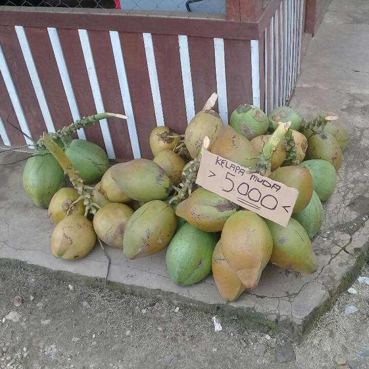 Kelapa Muda 