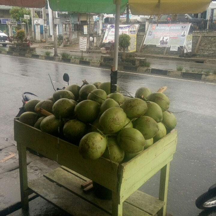 Kelapa Muda 