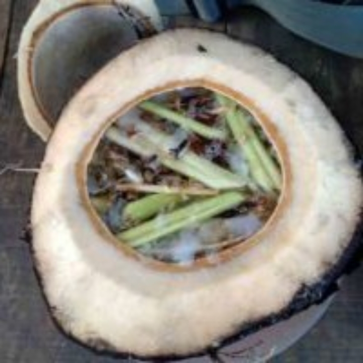 Kelapa Muda Bakar Rempah Rempah