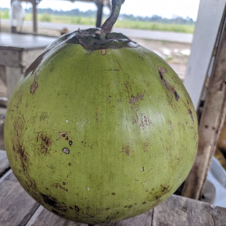 Kelapa Murni