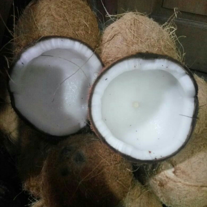 Kelapa Santan