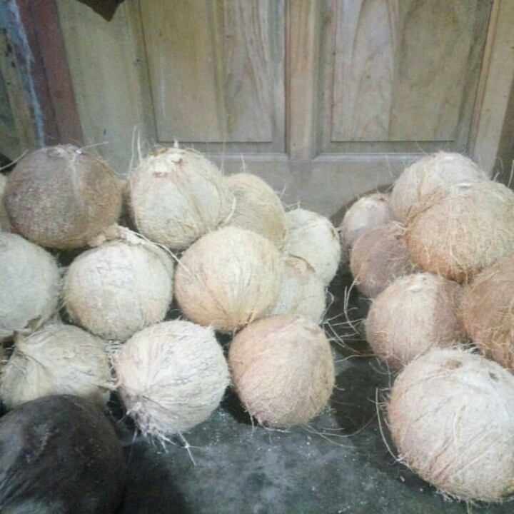 Kelapa Santan 3