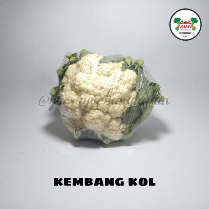 Kembang Kol