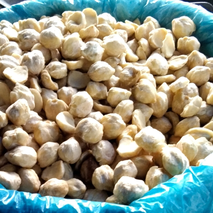 Kemiri 100g