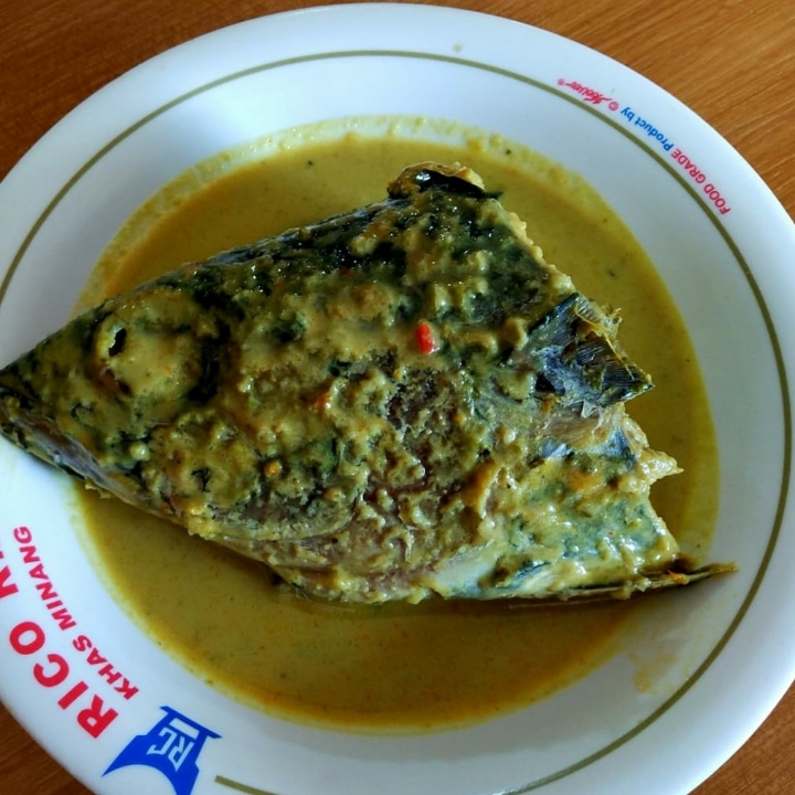 Kepala Ikan Tongkol