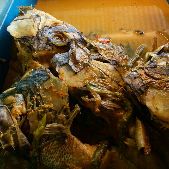 Kepala Nila Gulai