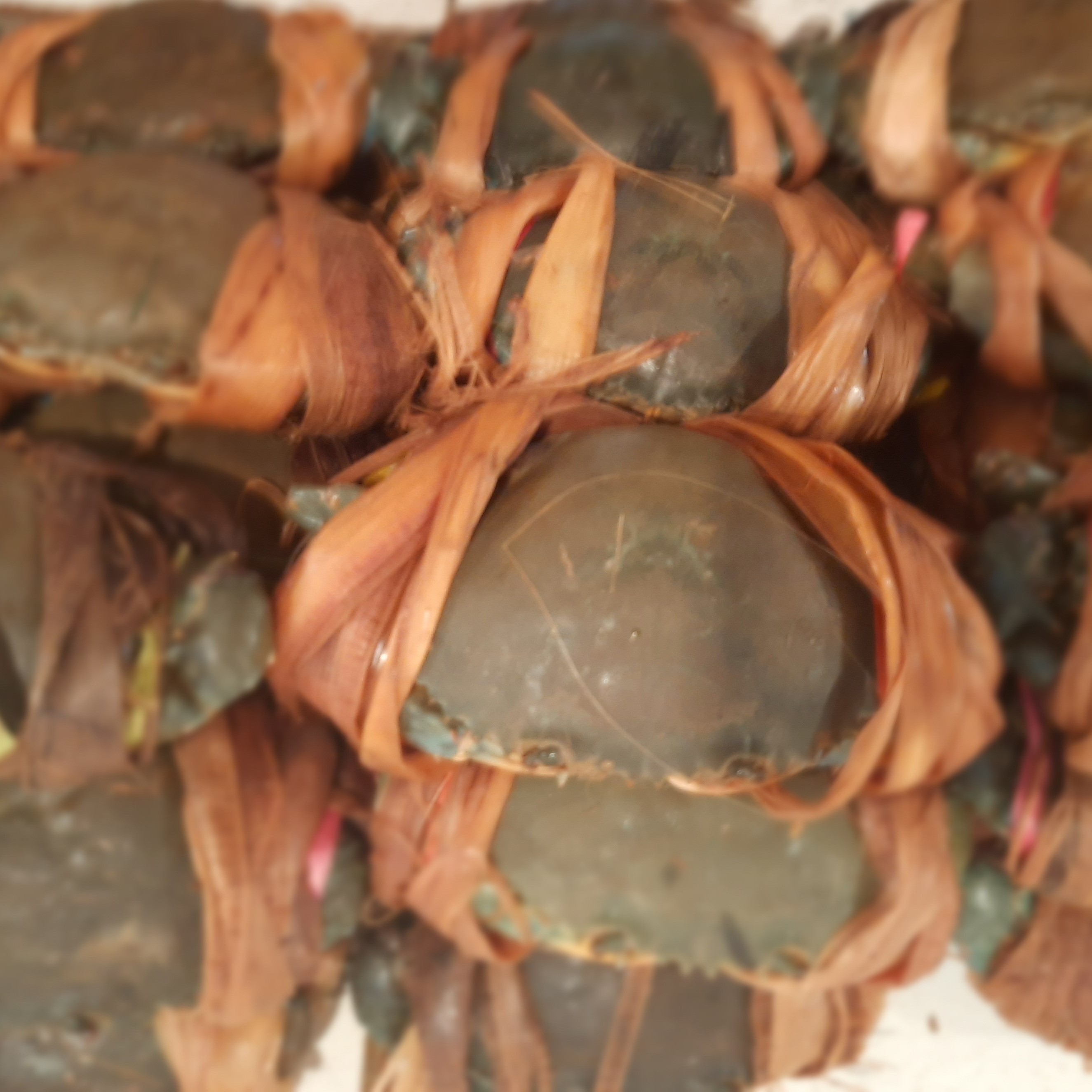 KEPITING KEMASAN 1KG