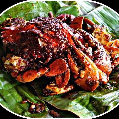 Kepiting Saja