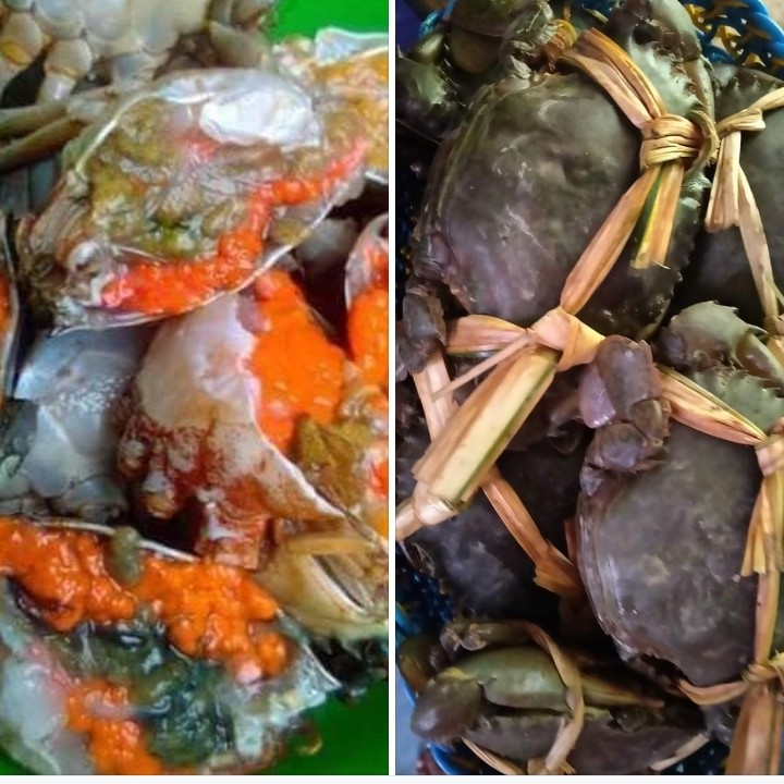 Kepiting Telur