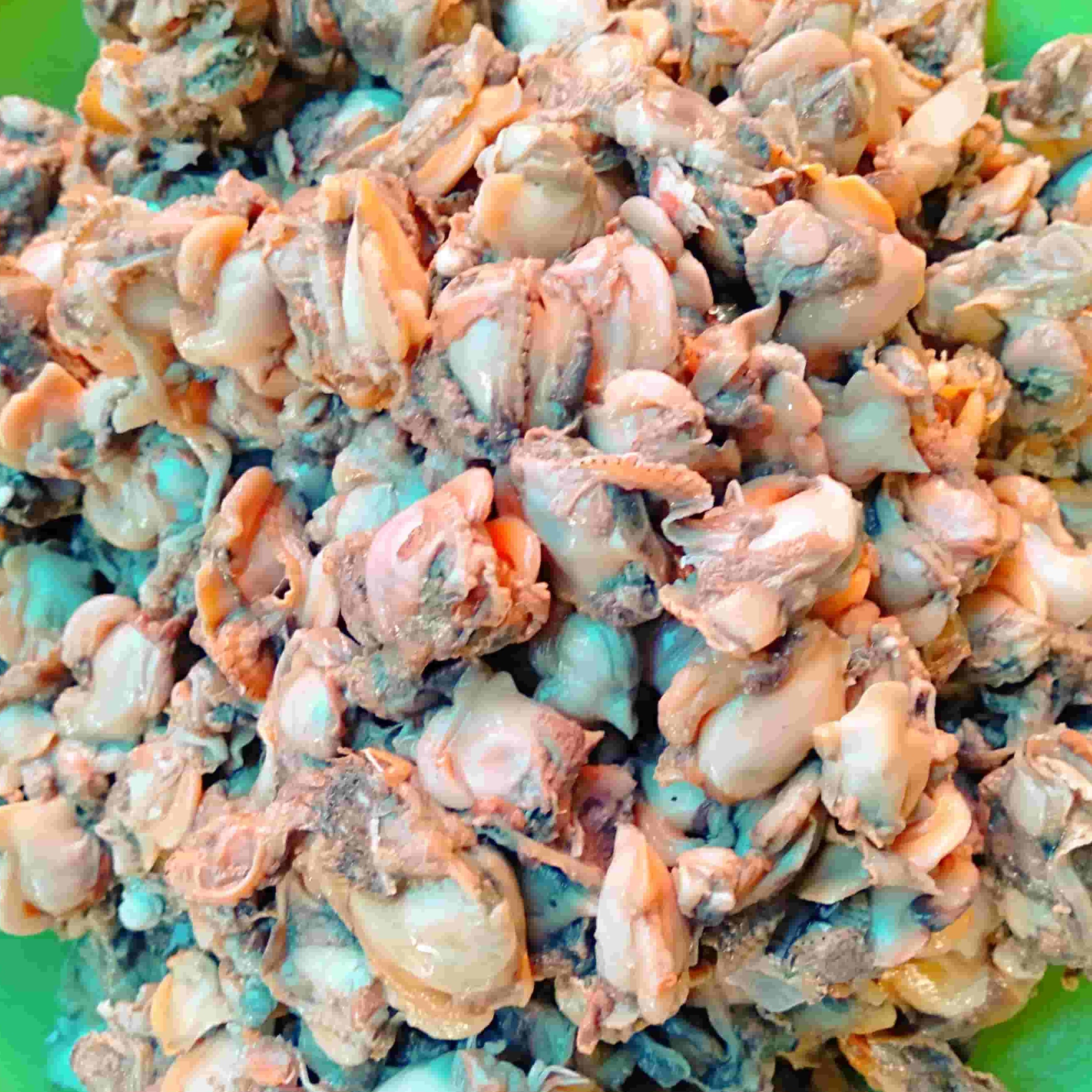 Kerang