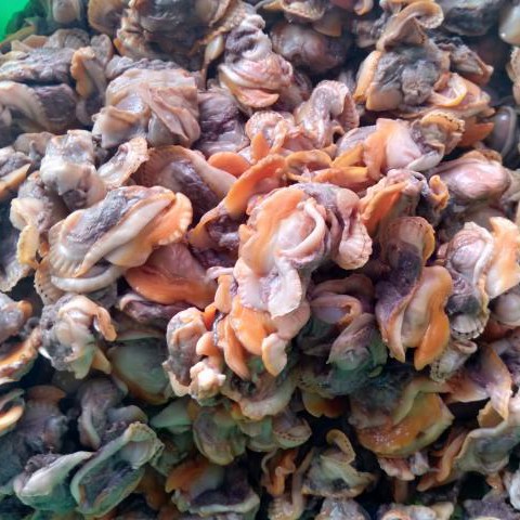 Kerang