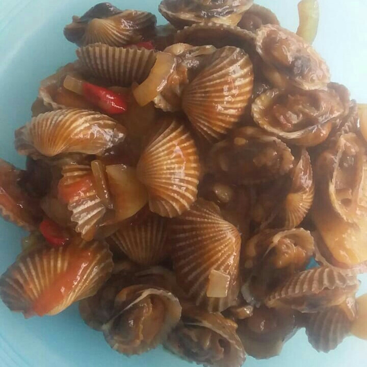 Kerang Dara 