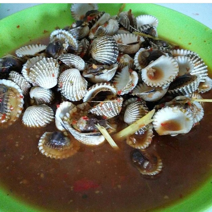 Kerang Dara