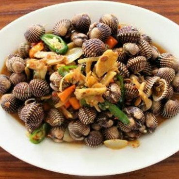 Kerang Dara